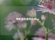 单机德信德州扑克apk