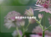 德信德州扑克叠筹码