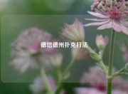 德信德州扑克打法