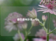 德信德州扑克aa与kk