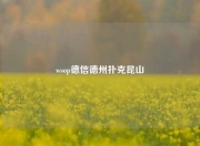 wsop德信德州扑克昆山