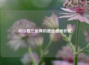 可以看三张牌的德信德州扑克