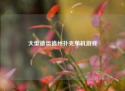大型德信德州扑克单机游戏