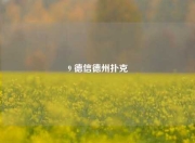 9 德信德州扑克
