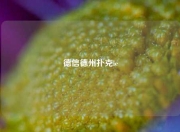 德信德州扑克ie