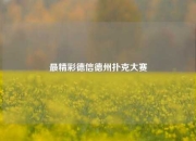 最精彩德信德州扑克大赛
