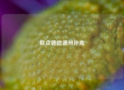 联众德信德州扑克