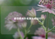 德信德州扑克俱乐部运行