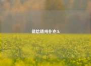 德信德州扑克2k
