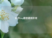 长沙king德信德州扑克