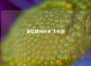 德信德州扑克 大小盲