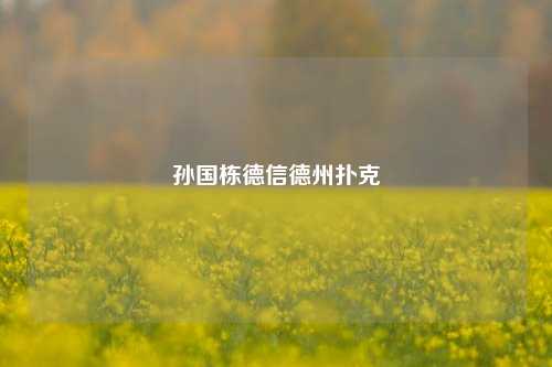孙国栋德信德州扑克