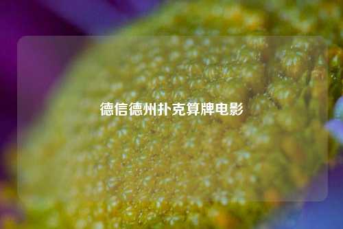 德信德州扑克算牌电影