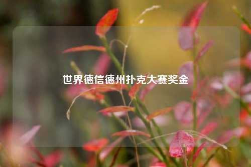 世界德信德州扑克大赛奖金