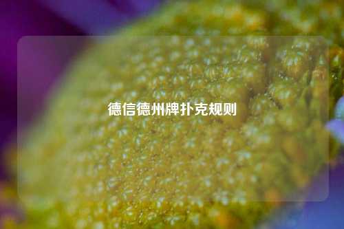 德信德州牌扑克规则