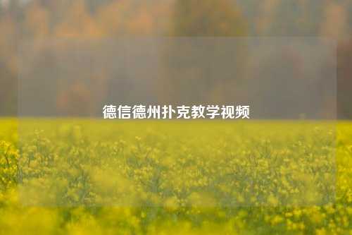 德信德州扑克教学视频