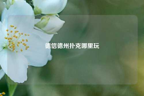 德信德州扑克哪里玩