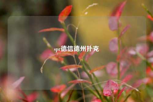 spr德信德州扑克