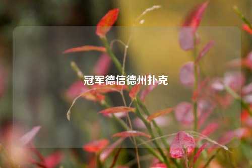 冠军德信德州扑克