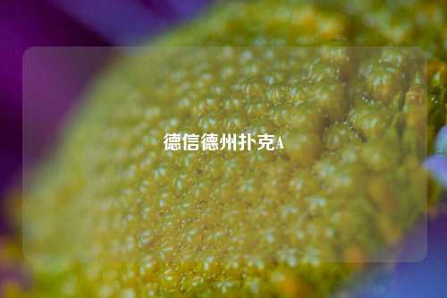 德信德州扑克A
