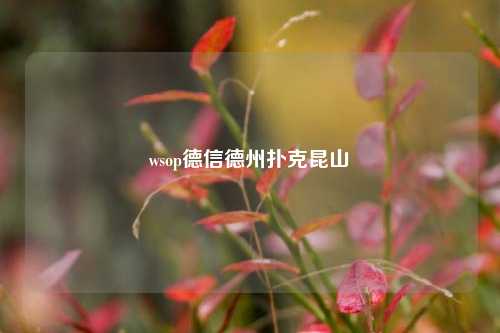 wsop德信德州扑克昆山