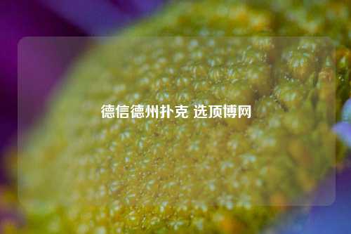 德信德州扑克 选顶博网