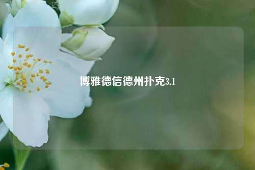 博雅德信德州扑克3.1