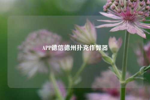 APP德信德州扑克作弊器