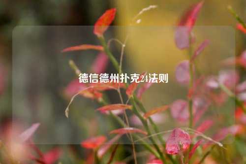 德信德州扑克24法则