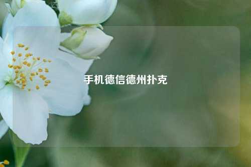 手机德信德州扑克