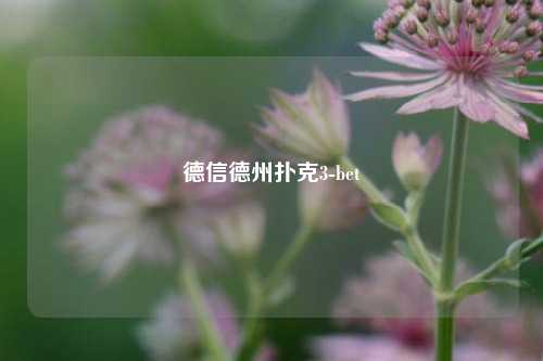 德信德州扑克3-bet