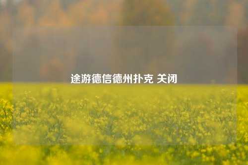 途游德信德州扑克 关闭