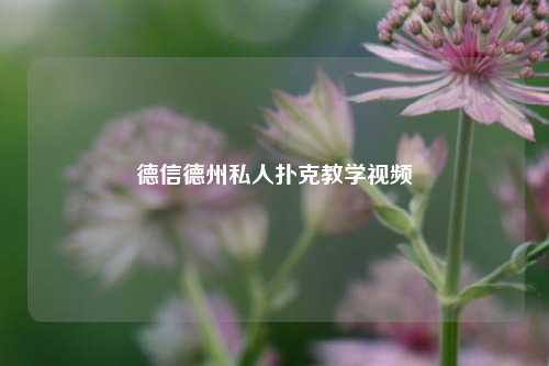 德信德州私人扑克教学视频