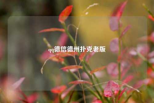qq德信德州扑克老版