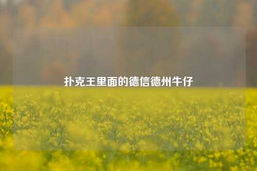 扑克王里面的德信德州牛仔