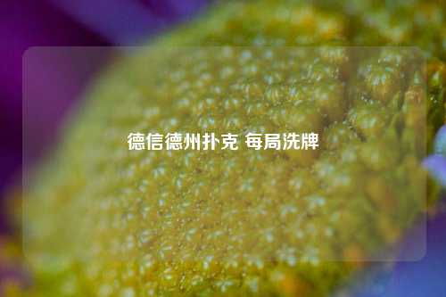 德信德州扑克 每局洗牌