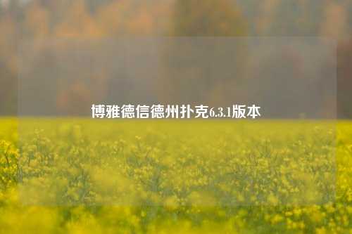 博雅德信德州扑克6.3.1版本