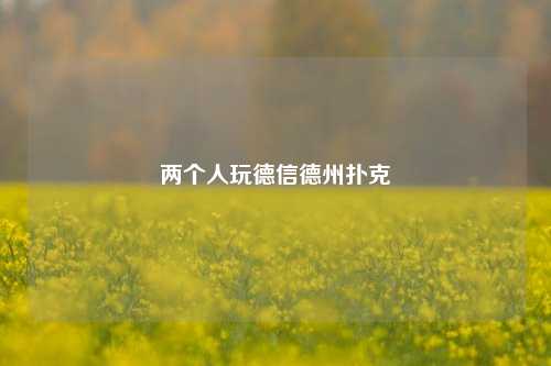 两个人玩德信德州扑克